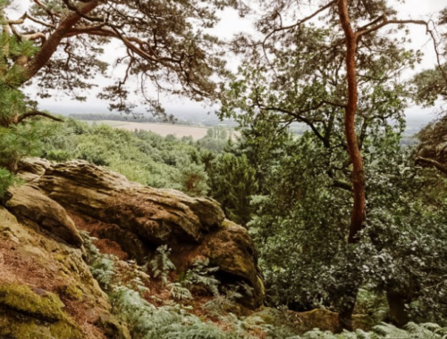 hiken in het Tecklenburger Land langs de Dörenther Klippen