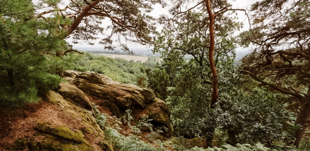 hiken in het Tecklenburger Land langs de Dörenther Klippen